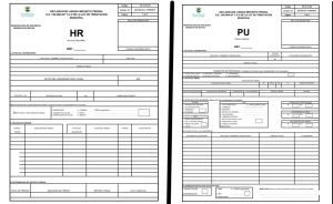 Formulario RH y PU 