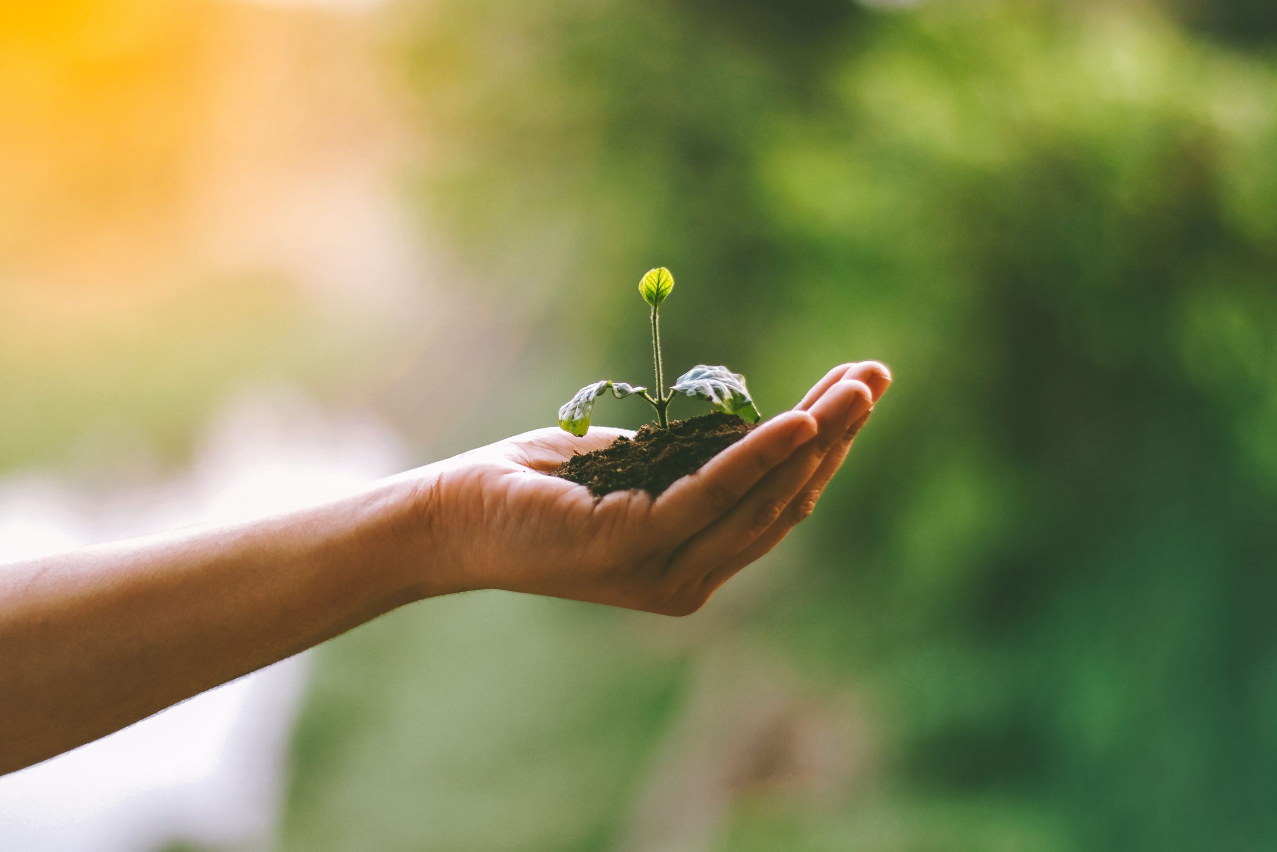 Huella de Carbono: cómo RTC construye finanzas responsables con impacto positivo en el Perú